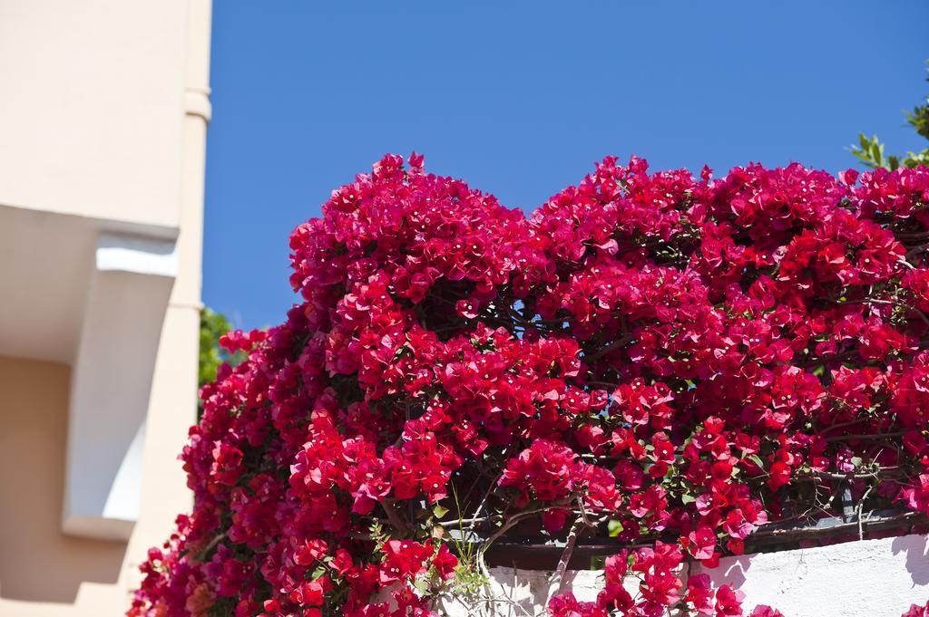 Hotel Casa Di Meglio Ischia Kültér fotó